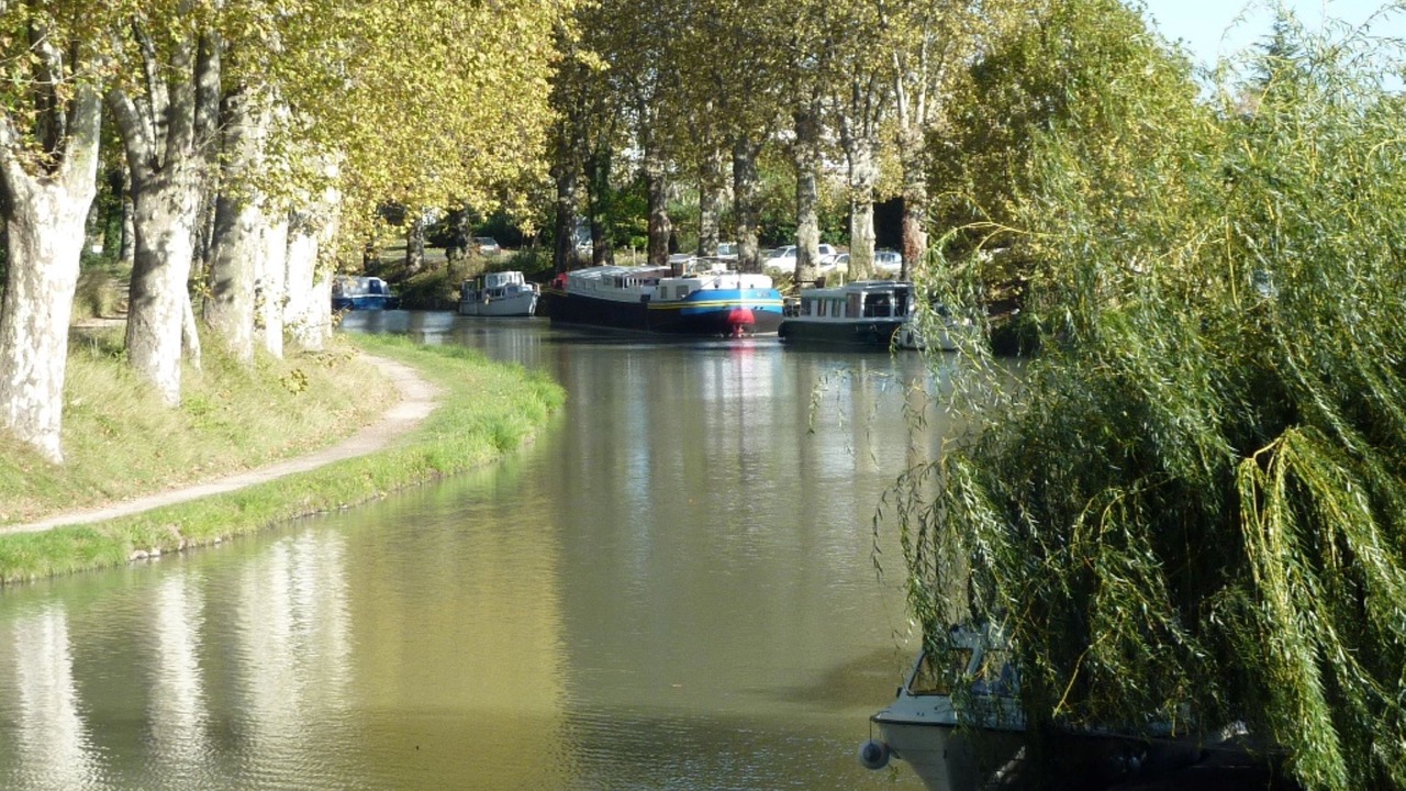 Photo of Others in Colombiers