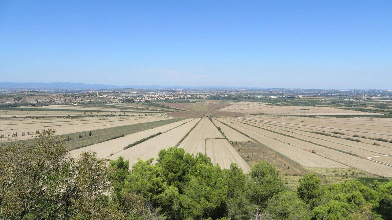 Photo of Others in Colombiers