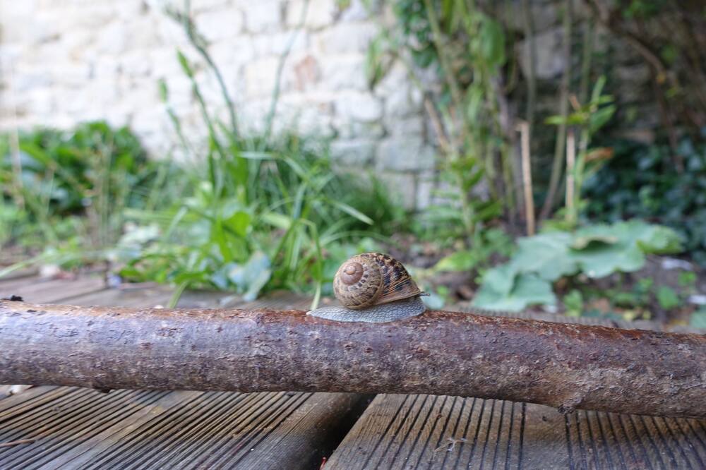 Photo of Outdoor in Nonant