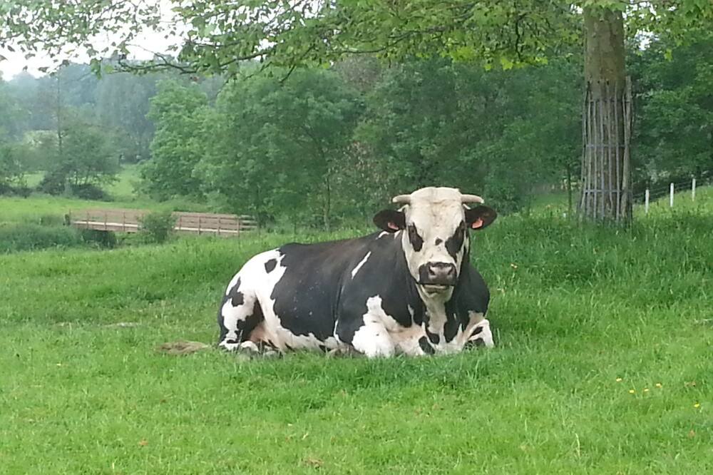 Photo of Outdoor in Nonant