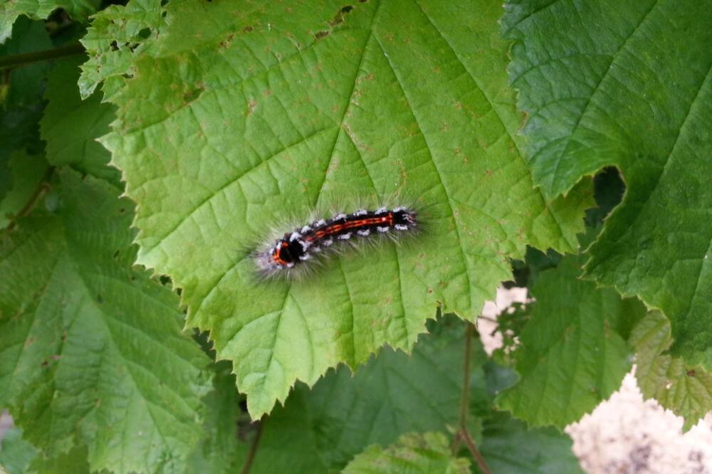 Photo of Outdoor in Nonant