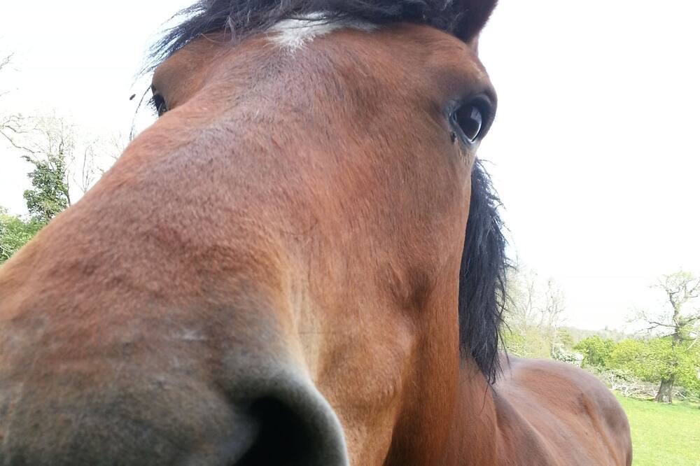 Photo of Outdoor in Nonant