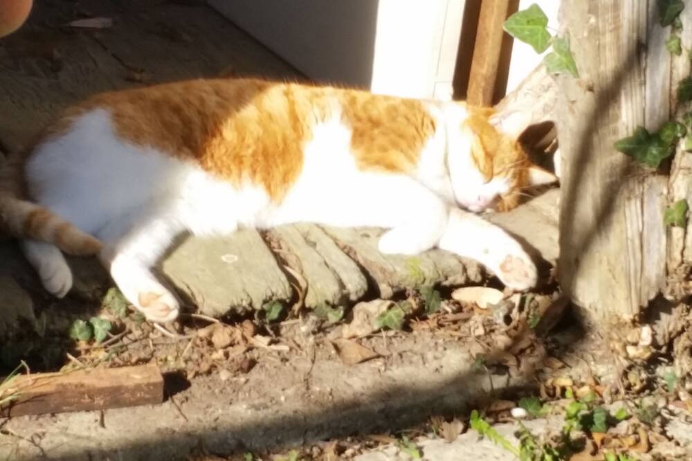 Photo of Outdoor in Nonant