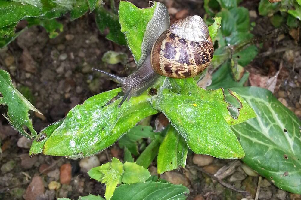 Photo of Outdoor in Nonant