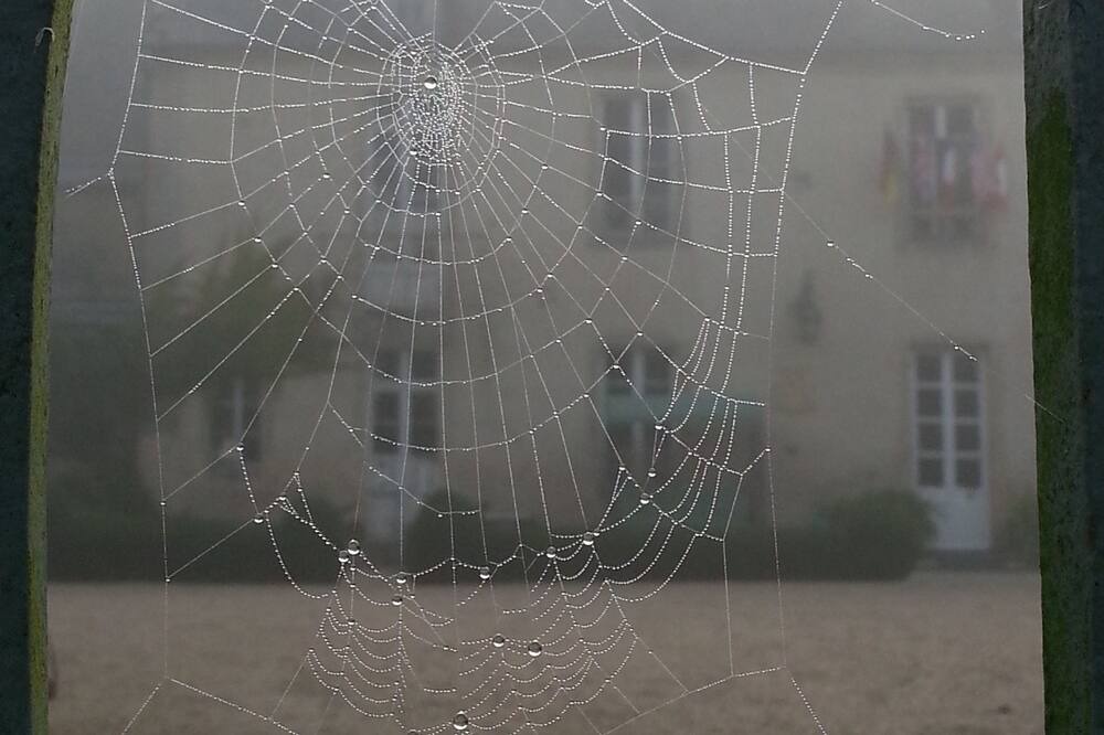 Photo of Others in Nonant