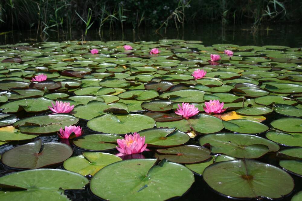 Photo of Outdoor in Gastes