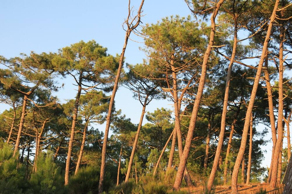 Photo of Outdoor in Gastes