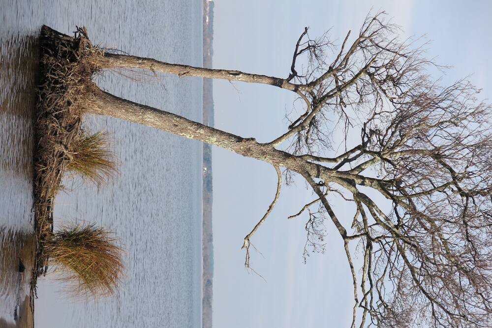 Photo of Outdoor in Gastes