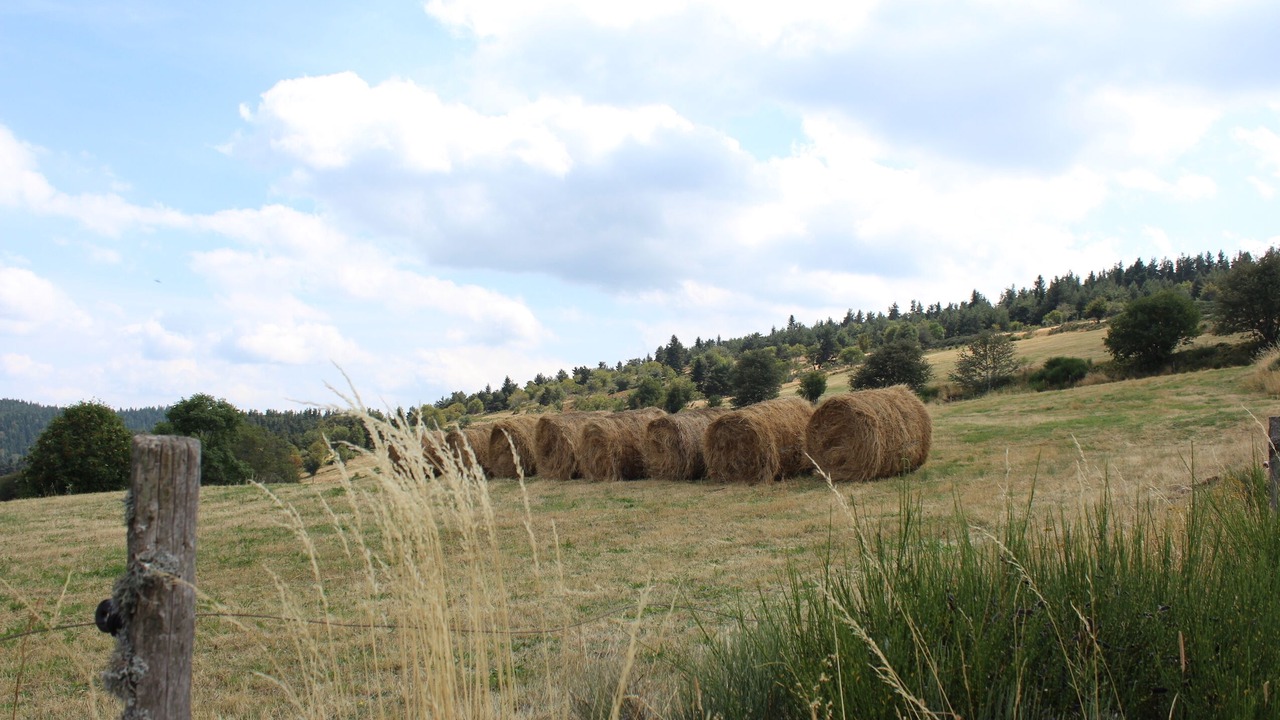 Photo of Outdoor in Valgorge