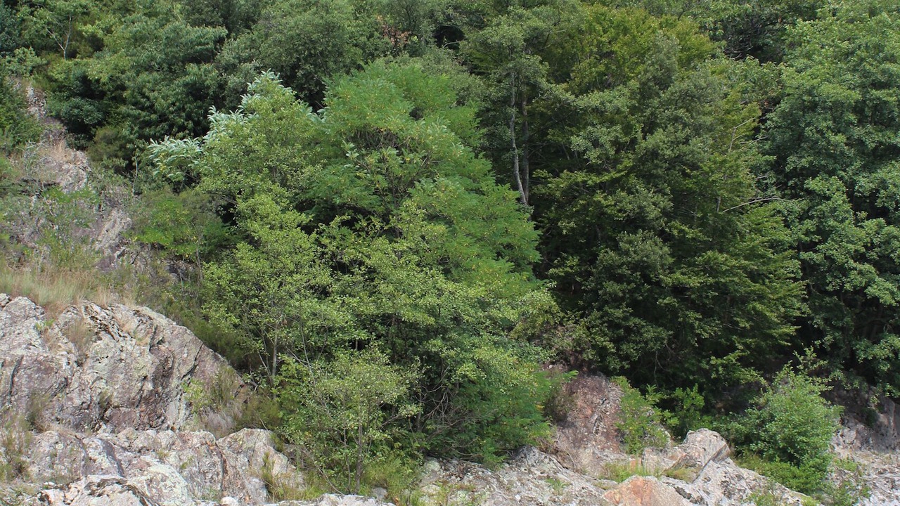 Photo of Others in Valgorge