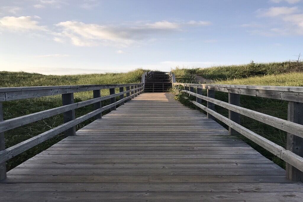 Photo of Others in Brackley Beach