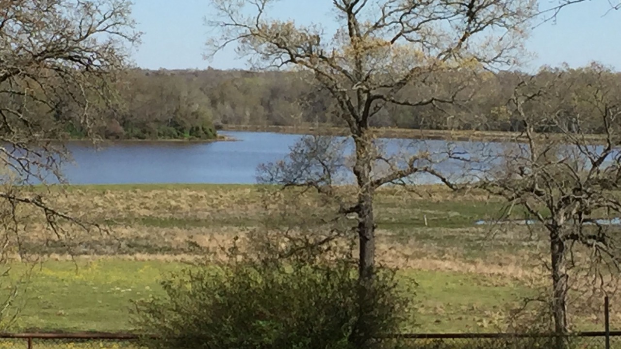 Photo of Outdoor in Oakwood