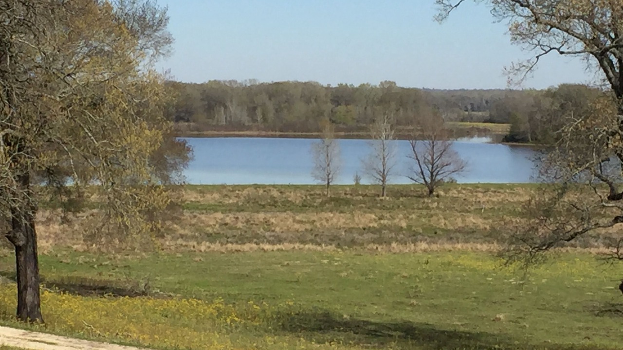 Photo of Outdoor in Oakwood