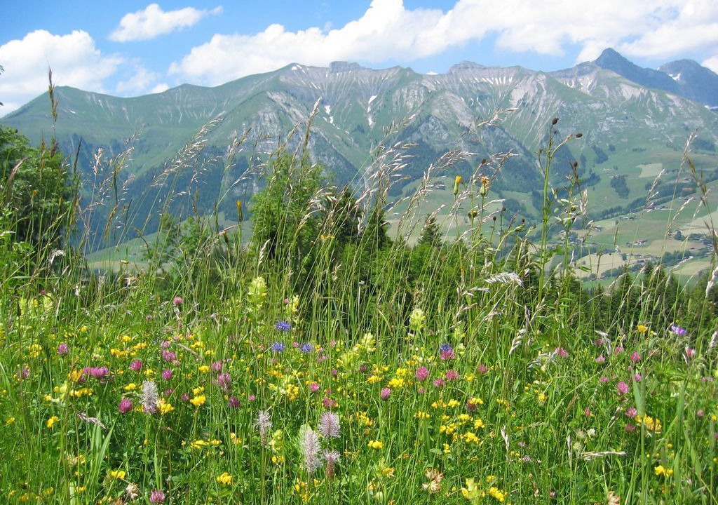 Photo of Outdoor in Chateau-d'Oex