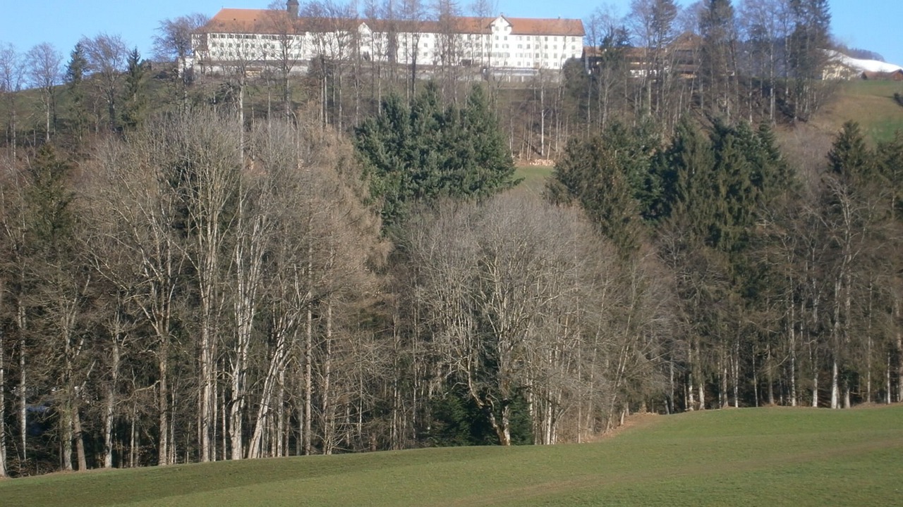 Photo of Others in Gommiswald
