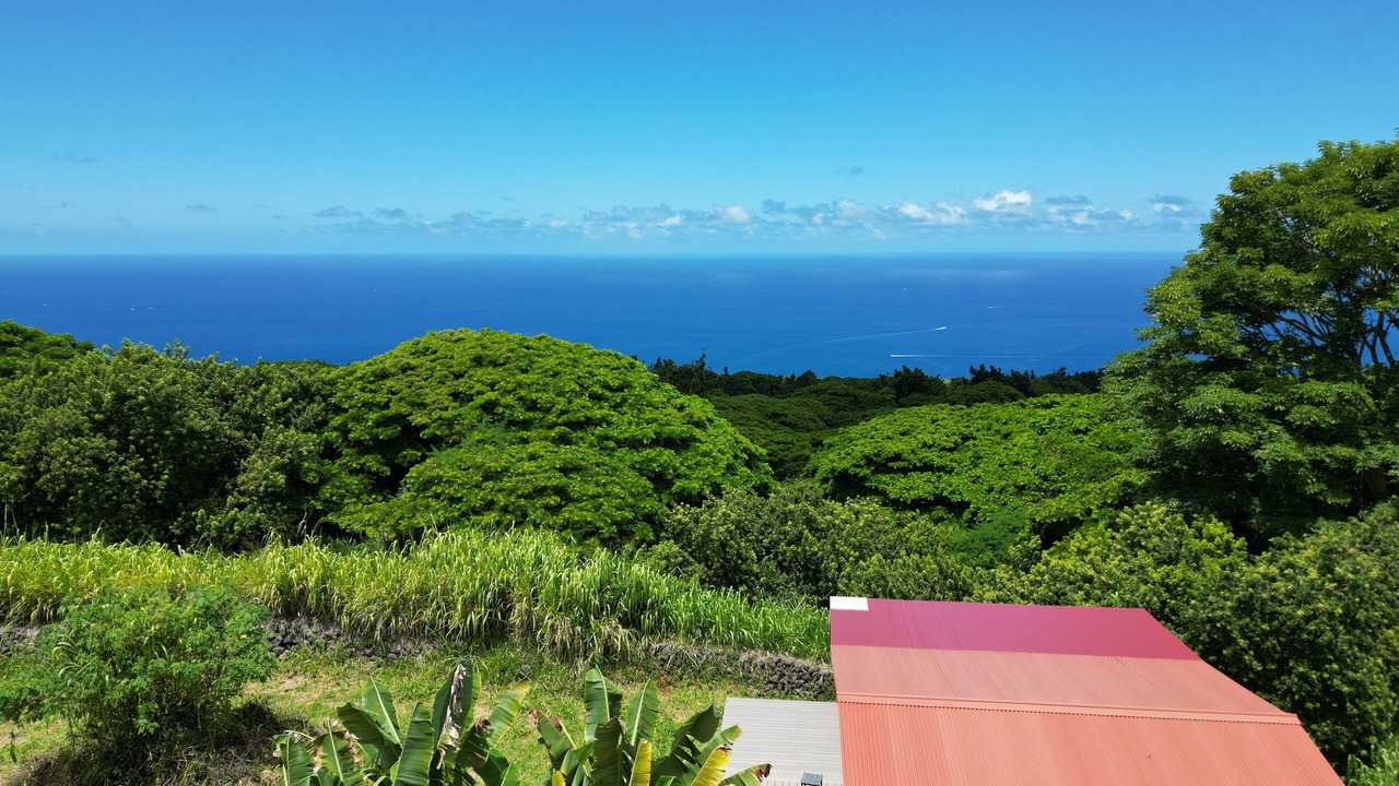 Photo of Others in Kealakekua