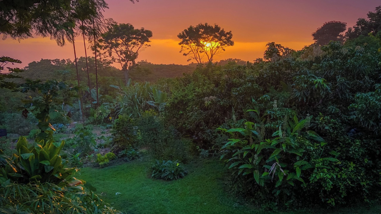 Photo of Outdoor in Kealakekua