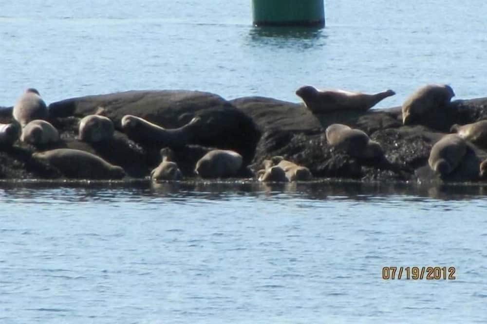 Photo of Others in Westport