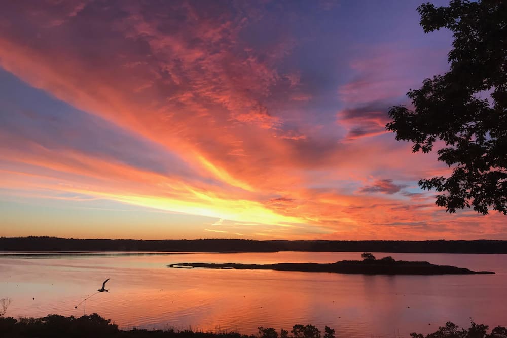 Photo of Others in Westport