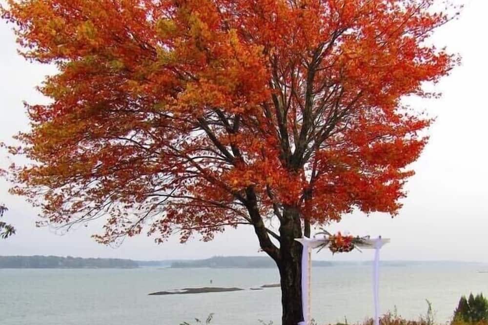 Photo of Others in Westport