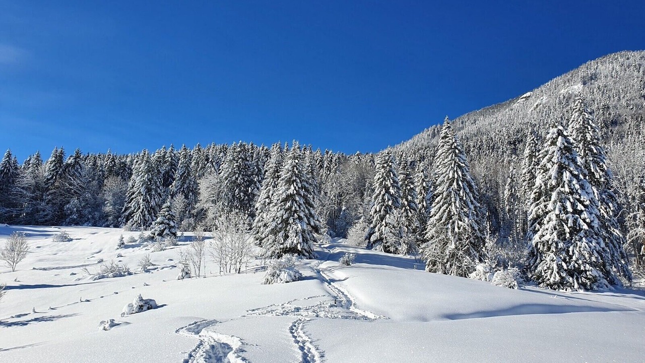 Photo of Outdoor in Saint-Pierre-de-Chartreuse