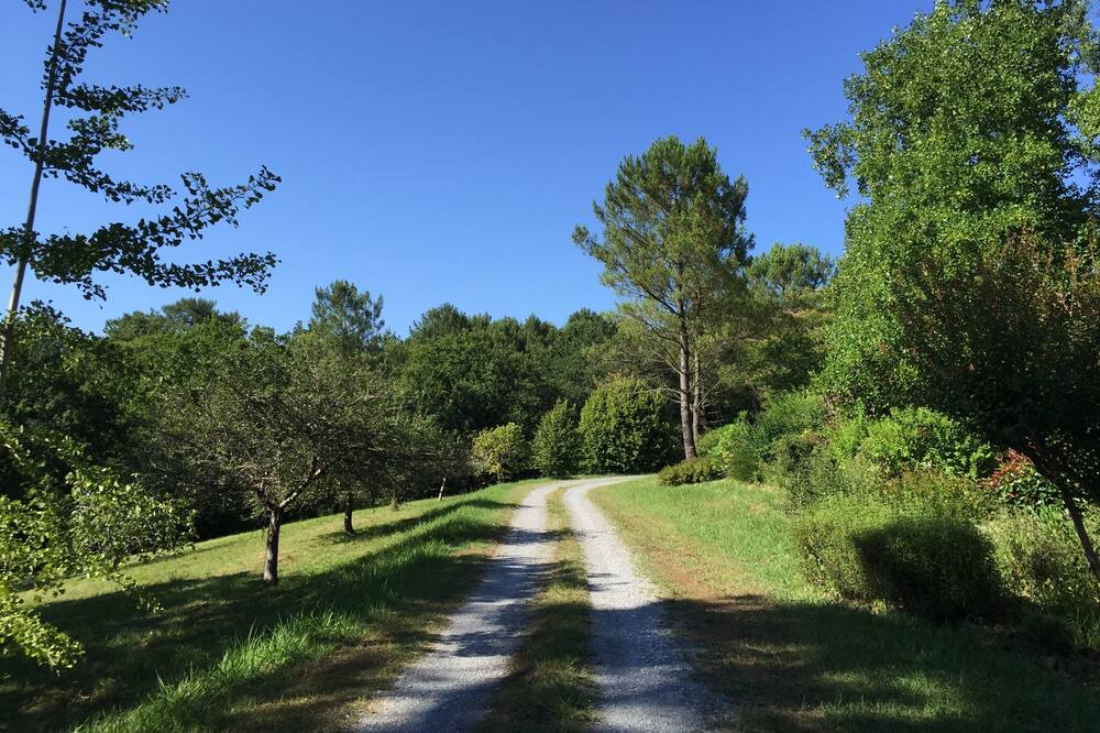 Photo of Outdoor in Saint-Martin-de-Seignanx