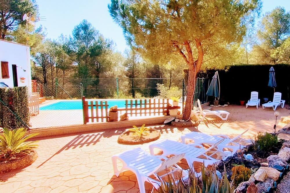 Photo of Outdoor in Masllorens