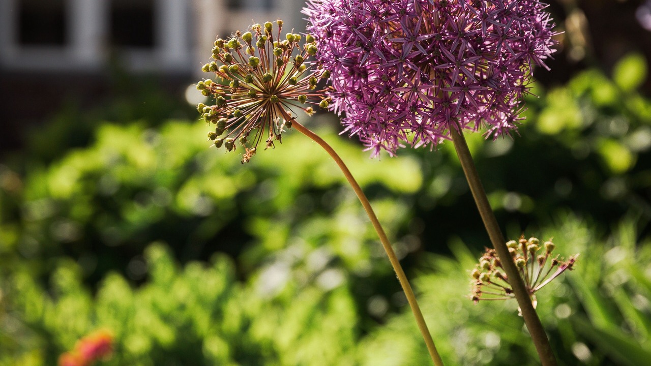 Photo of Outdoor in Jamestown