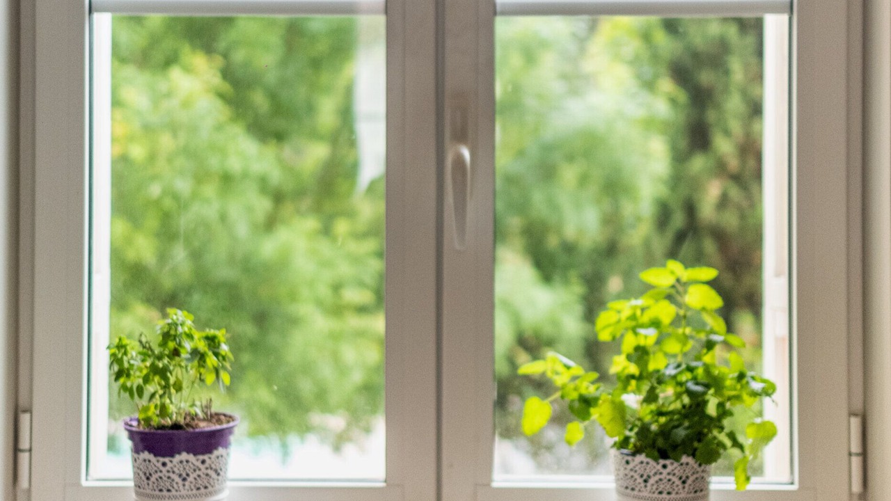 Photo of Others in Lignan-de-Bordeaux