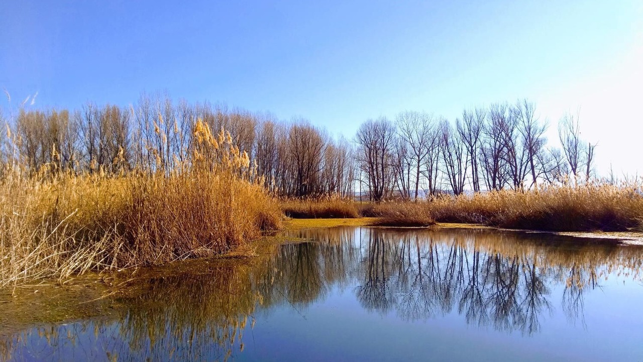 Photo of Outdoor in Monreal del Campo