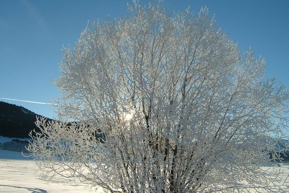Photo of Others in La Llagonne
