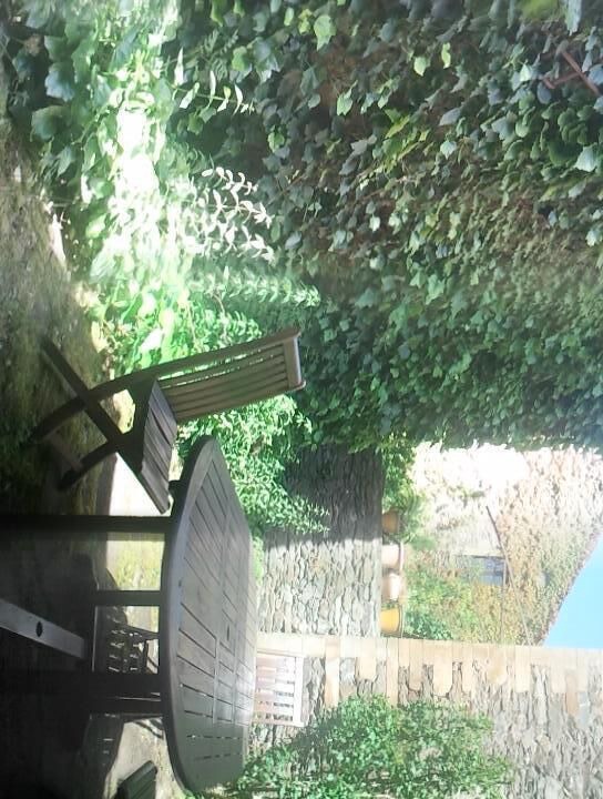 Photo of Outdoor in Balaguier-sur-Rance