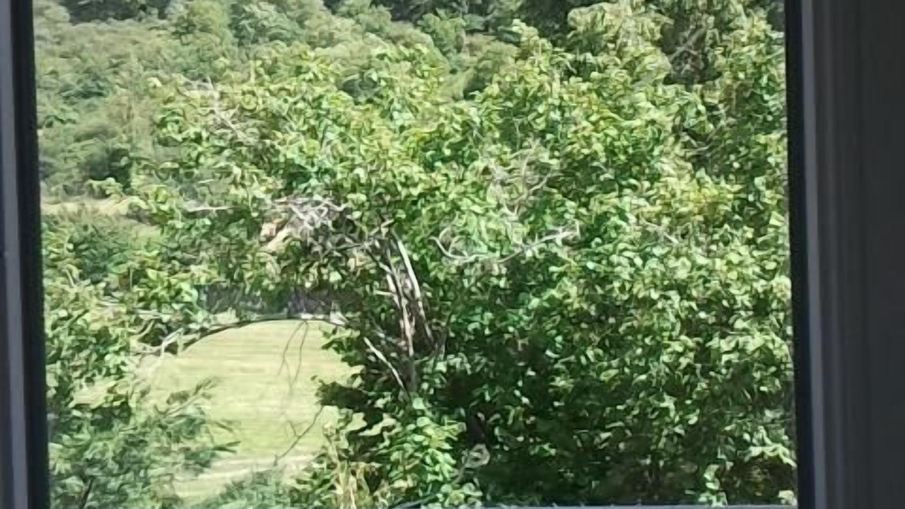 Photo of Others in Balaguier-sur-Rance