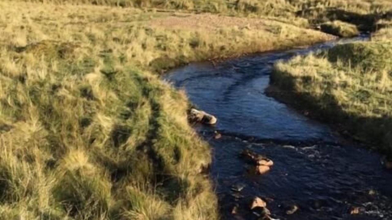 Photo of Outdoor in Kinbrace