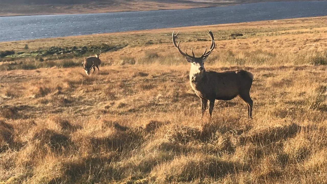 Photo of Outdoor in Kinbrace