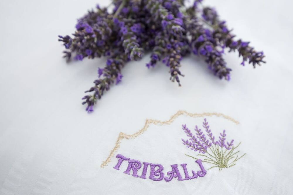 Photo of Outdoor in Tribalj