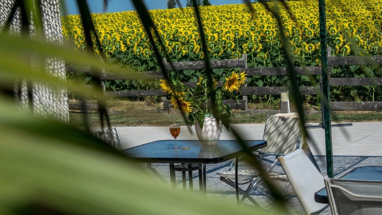Photo of Outdoor in Puechoursi