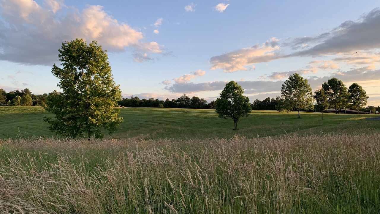 Photo of Outdoor in Waterford
