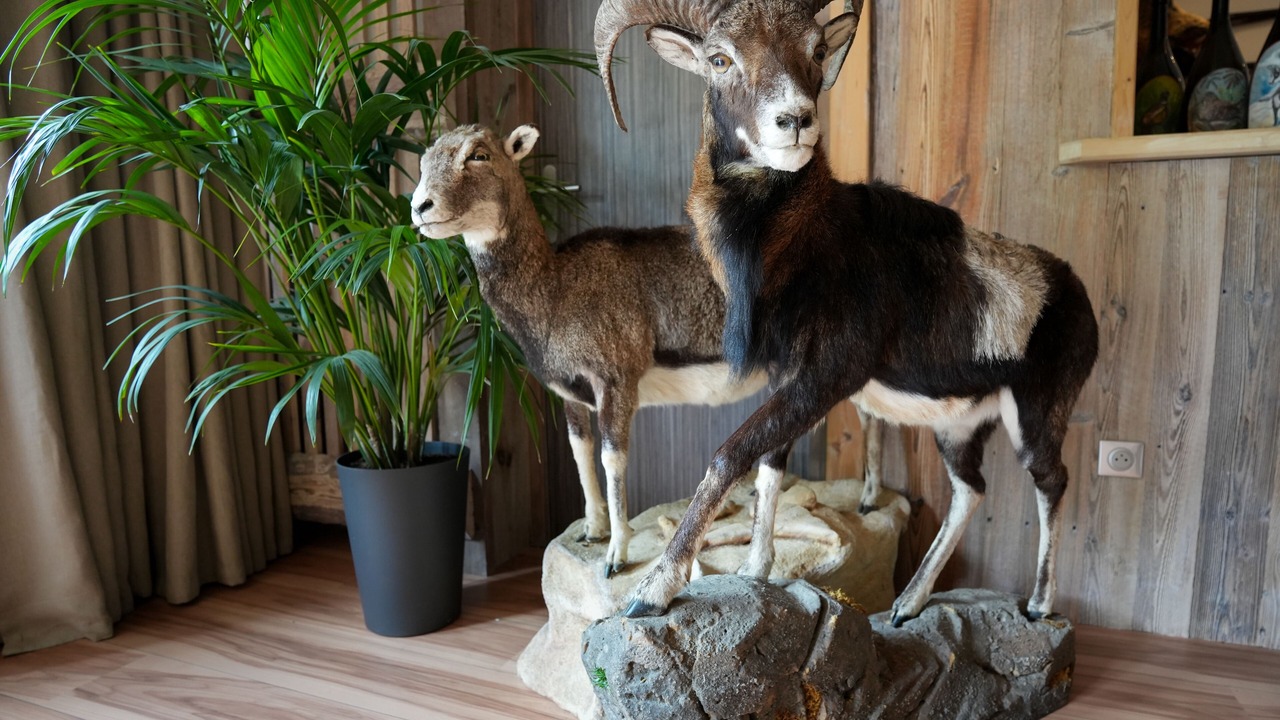 Photo of Others in Saint-Jorioz
