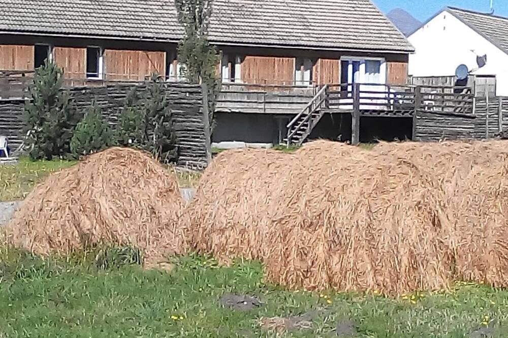 Photo of Outdoor in La Llagonne