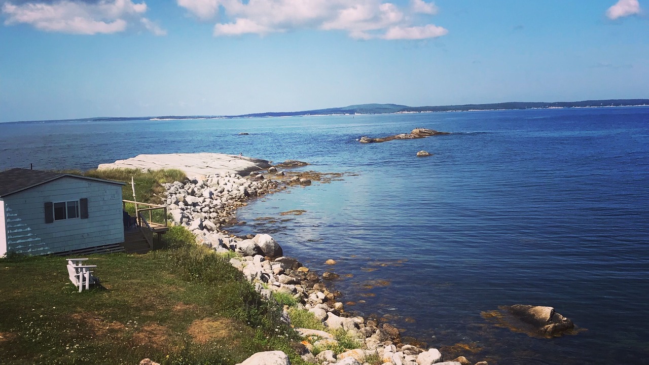 Photo of Others in Indian Harbour