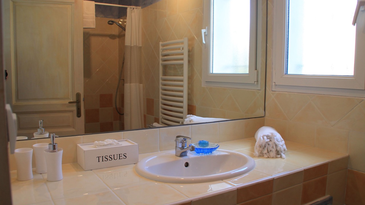 Photo of Bathroom in Tourves