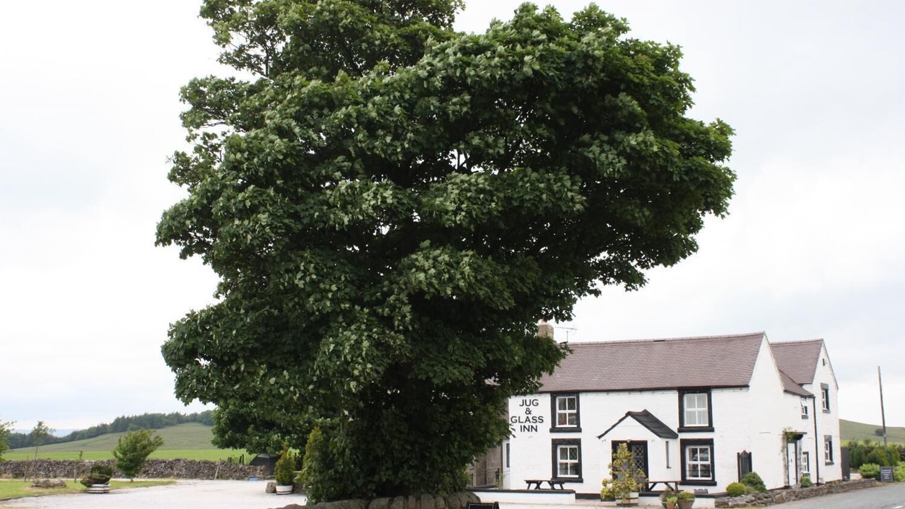 Photo of Outdoor in Newton Grange