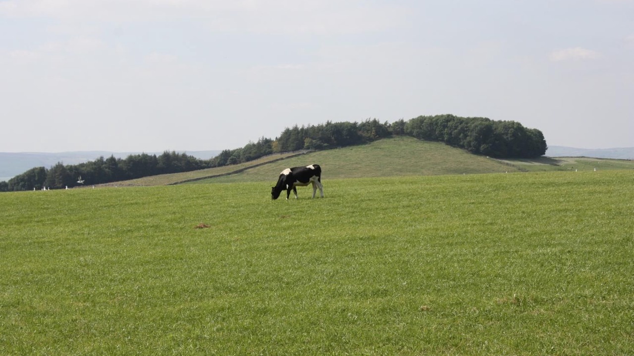 Photo of Others in Newton Grange