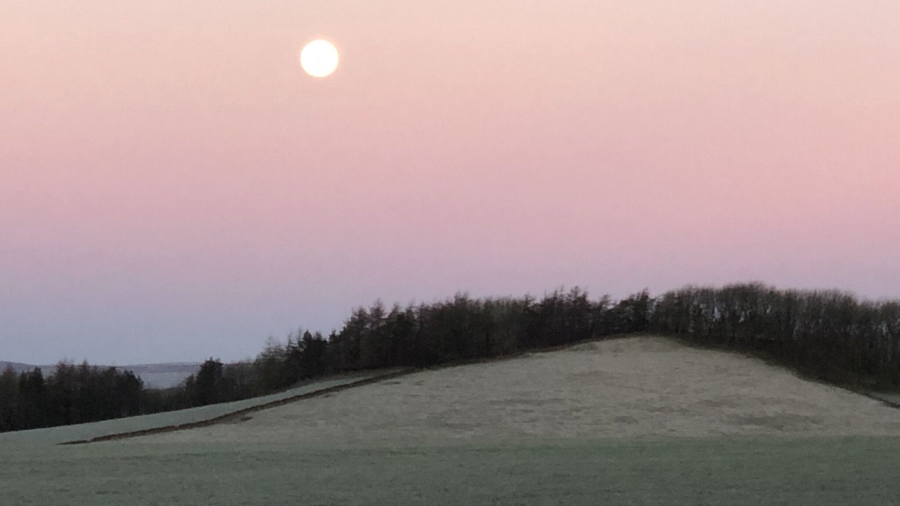 Photo of Others in Newton Grange