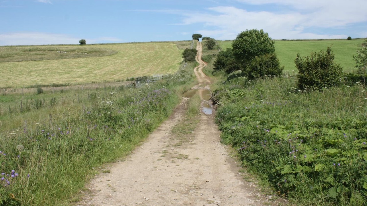 Photo of Outdoor in Newton Grange