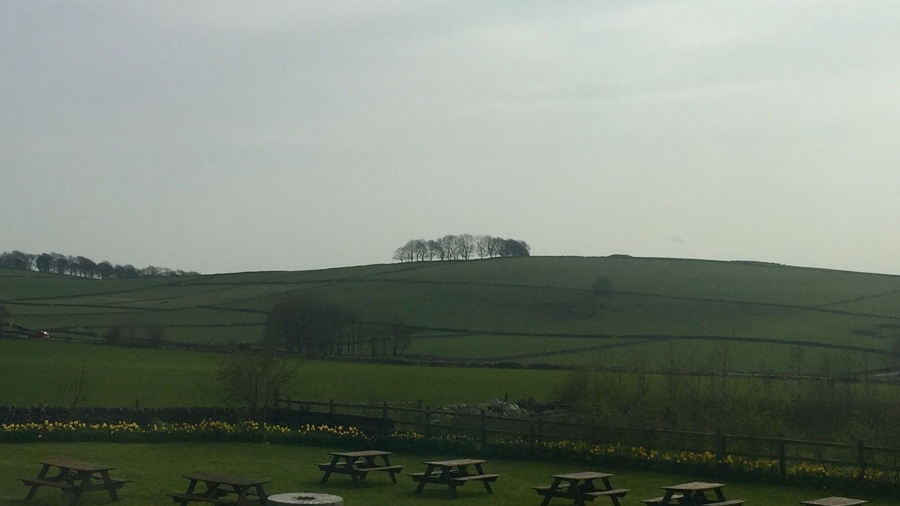 Photo of Others in Newton Grange