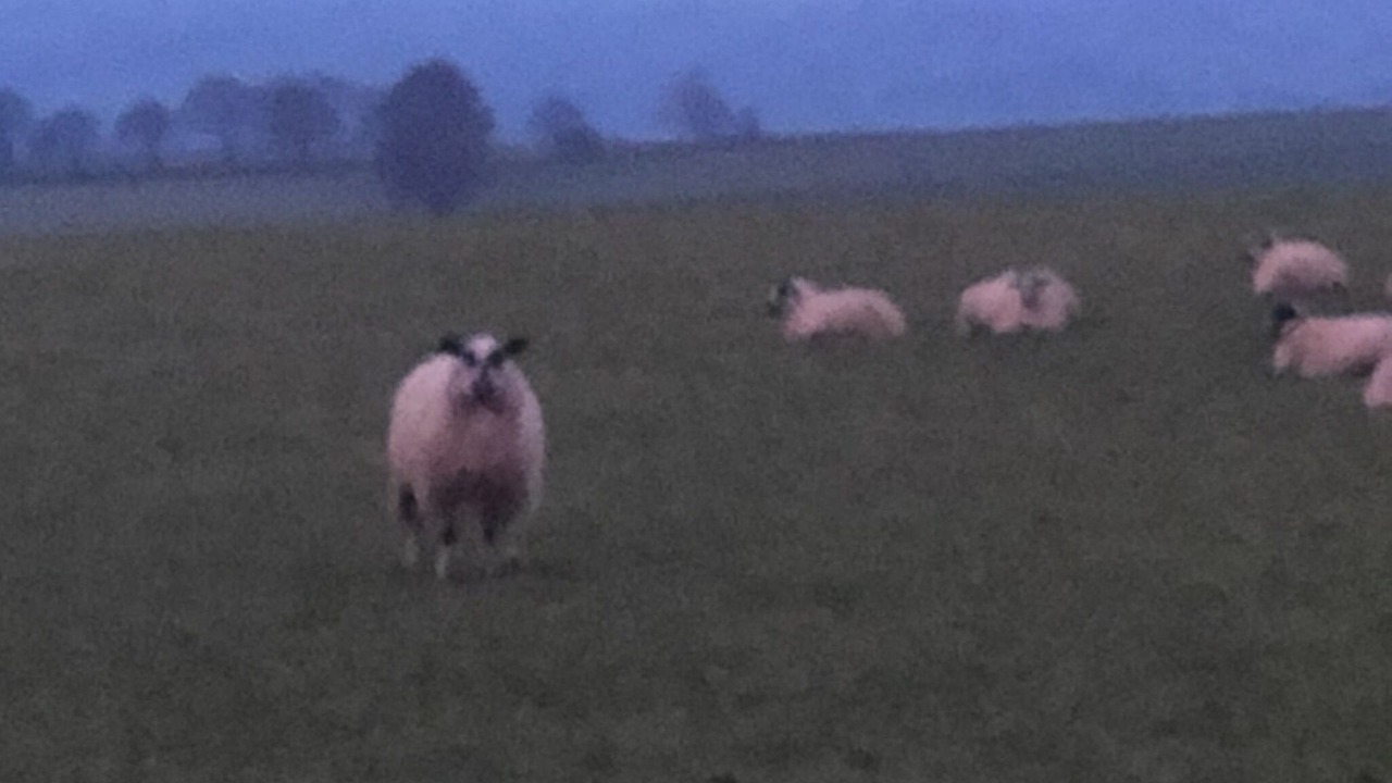 Photo of Others in Newton Grange