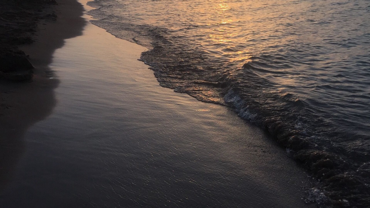 Photo of Others in Almadrava Beach