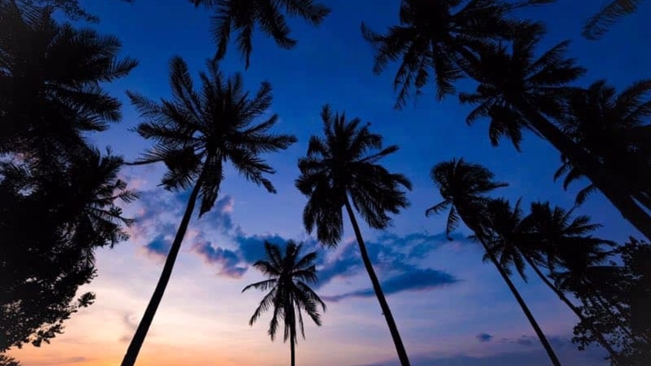 Photo of Outdoor in Kuala Teriang